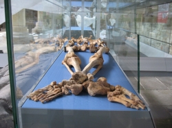 Exhibition at Barton